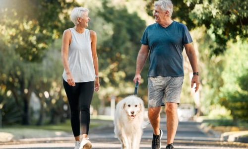 a man and a woman walking a dog on a leash